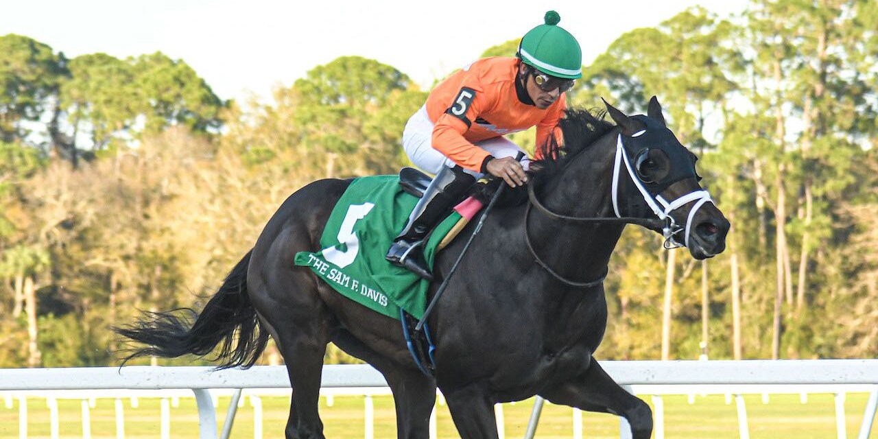 No More Time winning the Sam F. Davis (G3) at Tampa Bay Downs (Photo by SV Photography)