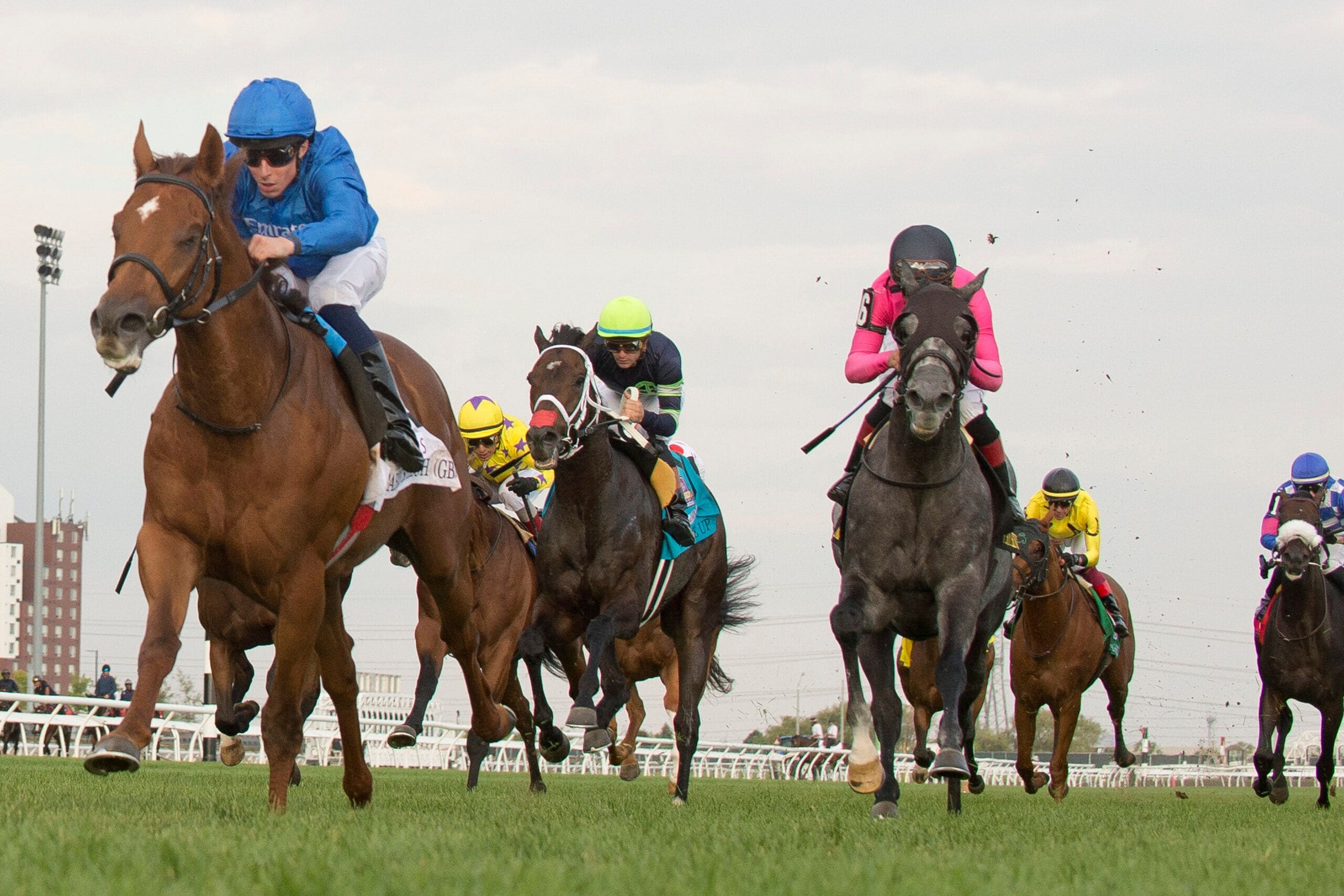 Notable Speech wins the Woodbine Mile at Woodbine.
