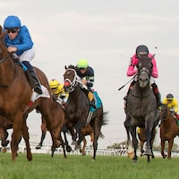 Notable Speech wins the Woodbine Mile at Woodbine.