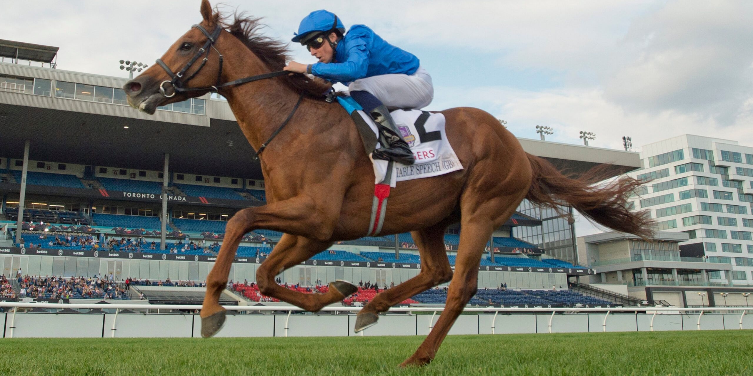 Notable Speech wins the Woodbine Mile at Woodbine. 