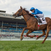 Notable Speech wins the Woodbine Mile at Woodbine.