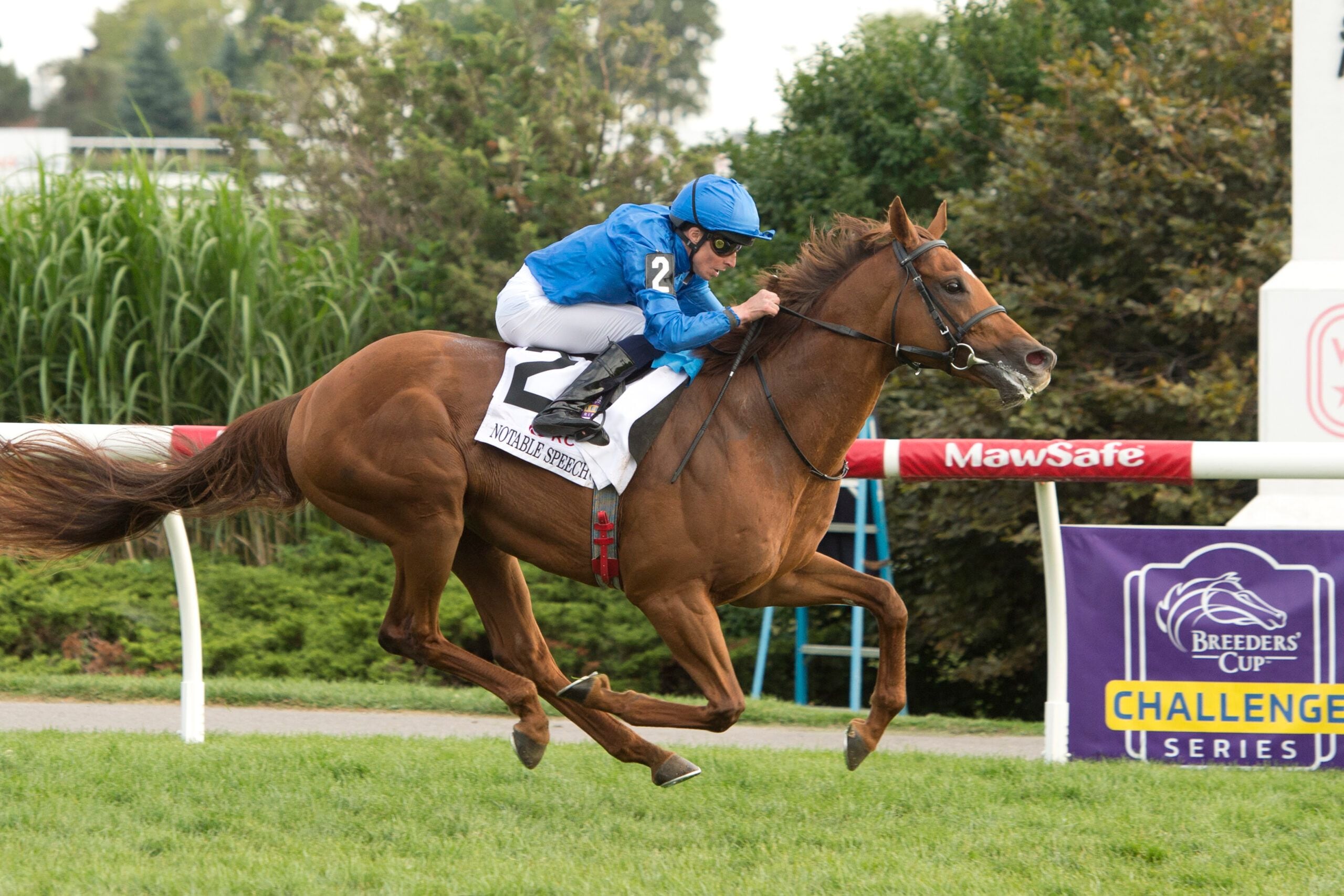 Notable Speech wins the Woodbine Mile at Woodbine.