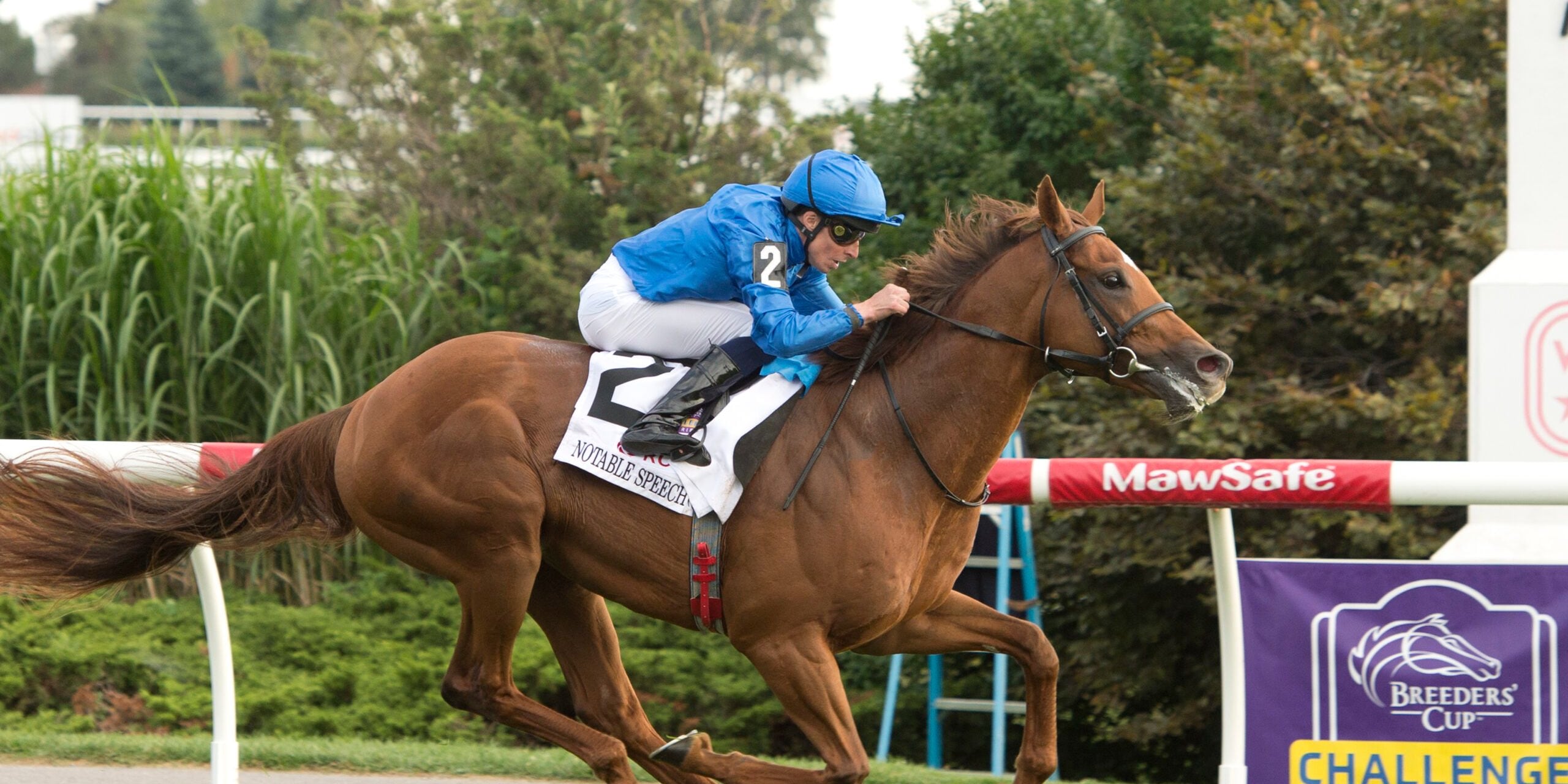 Notable Speech wins the Woodbine Mile at Woodbine. 