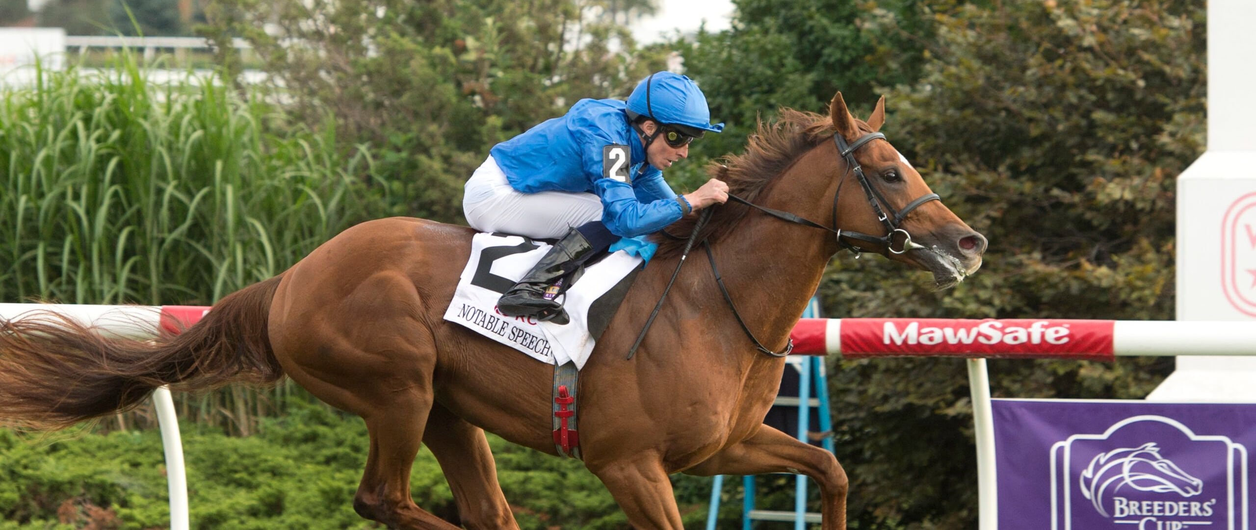 Notable Speech wins the Woodbine Mile at Woodbine.