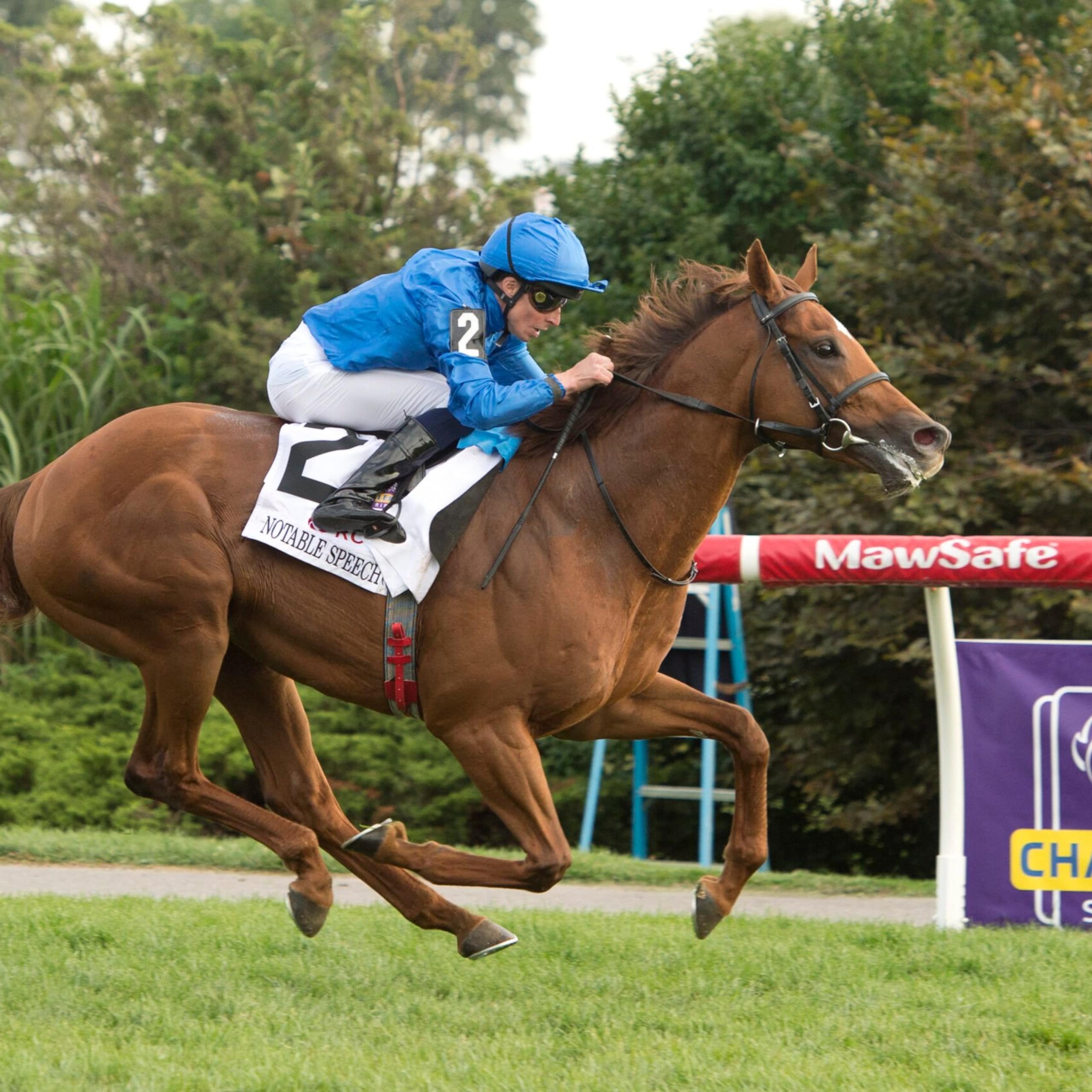 Notable Speech wins the Woodbine Mile at Woodbine.