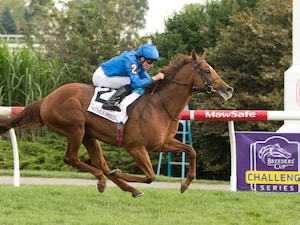 Notable Speech wins the Woodbine Mile at Woodbine.