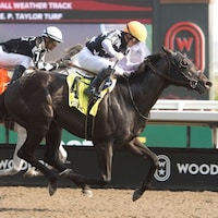 King's Plate contender Notorious Gangster winning the Queenston Stakes at Woodbine.