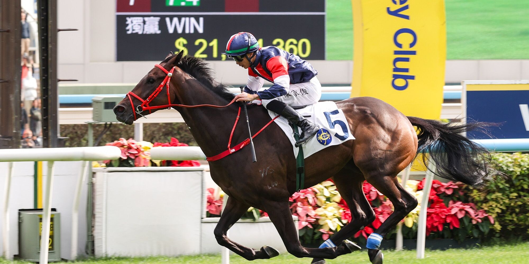 Numbers has emerged as a Hong Kong Derby prospect