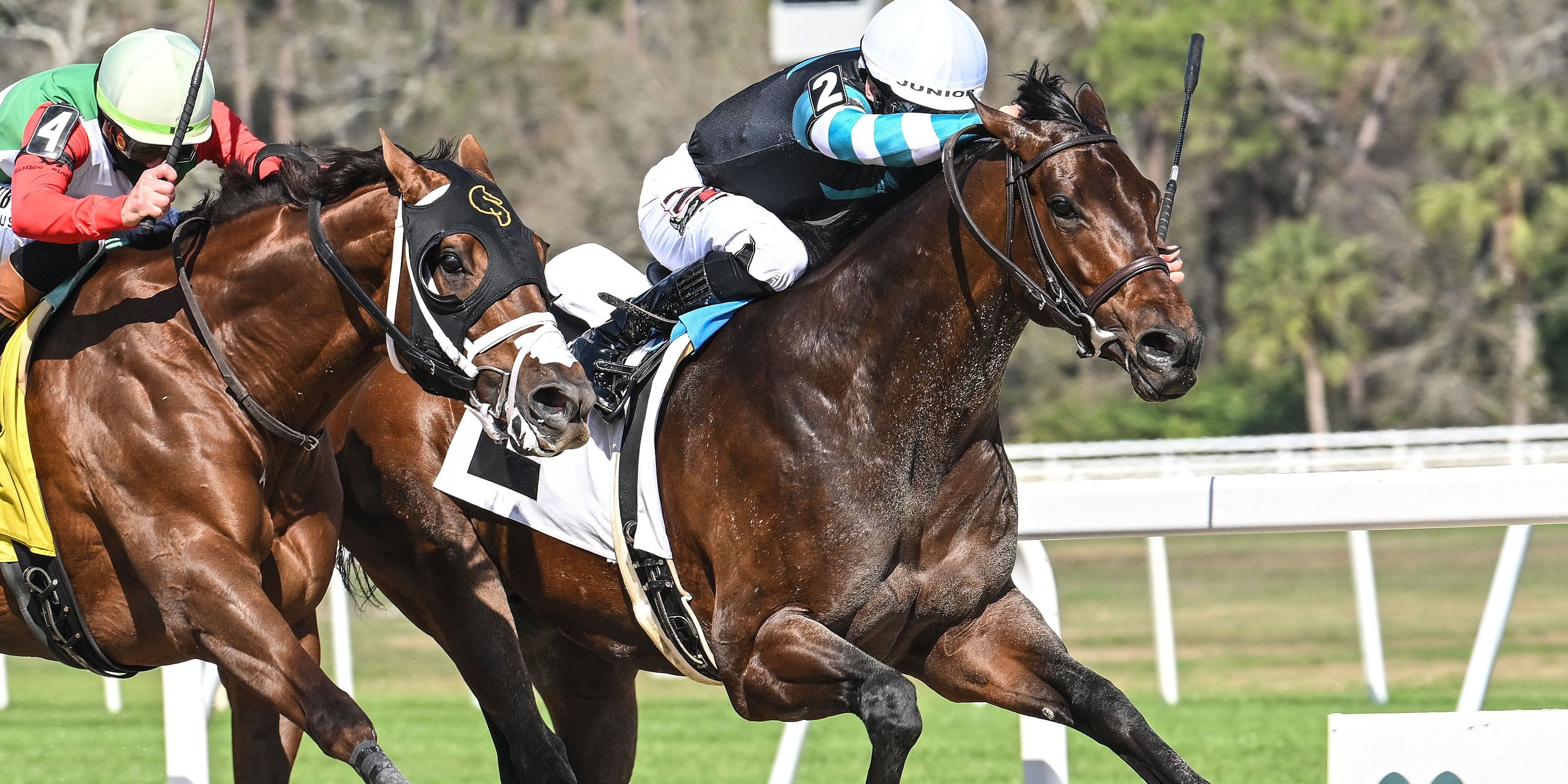 Nutella Fella darted up the fence to win the Pelican S.
