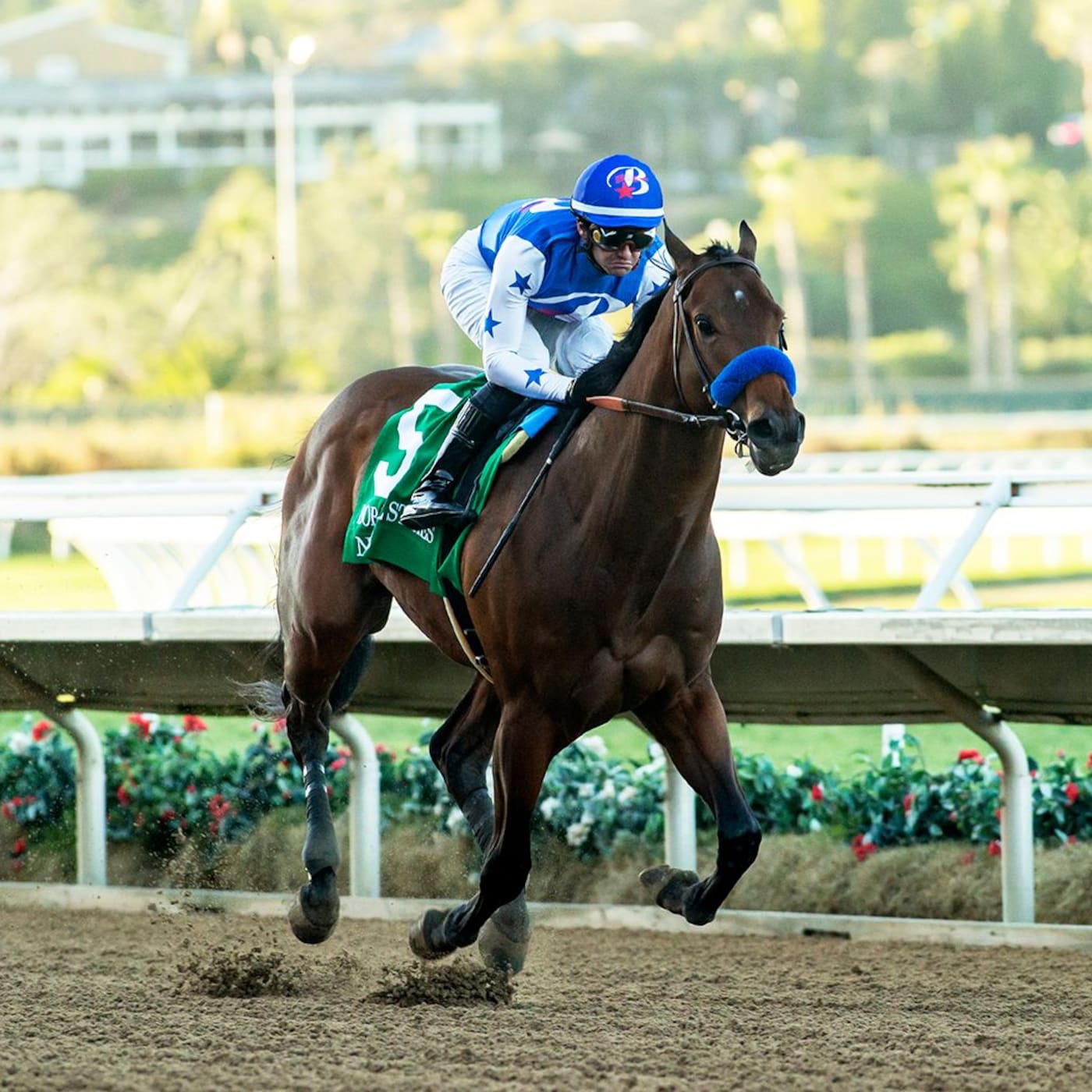 Nysos wins the Bob Hope (G3) at Del Mar (Photo by Benoit Photo)