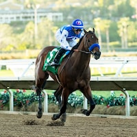 Nysos wins the Bob Hope (G3) at Del Mar (Photo by Benoit Photo)