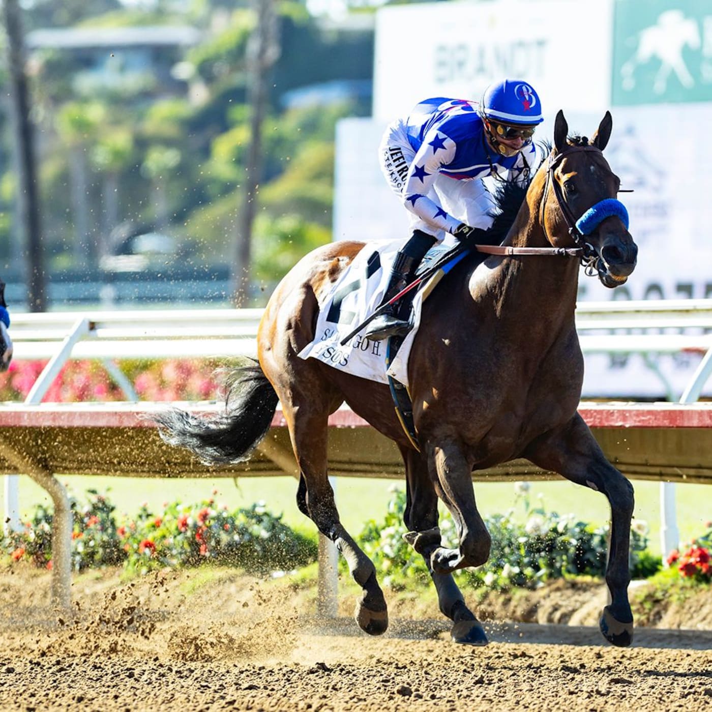 Nysos was much the best as the 1-10 favorite in the San Diego