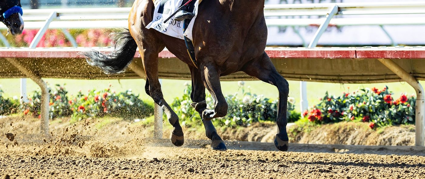 Nysos was much the best as the 1-10 favorite in the San Diego