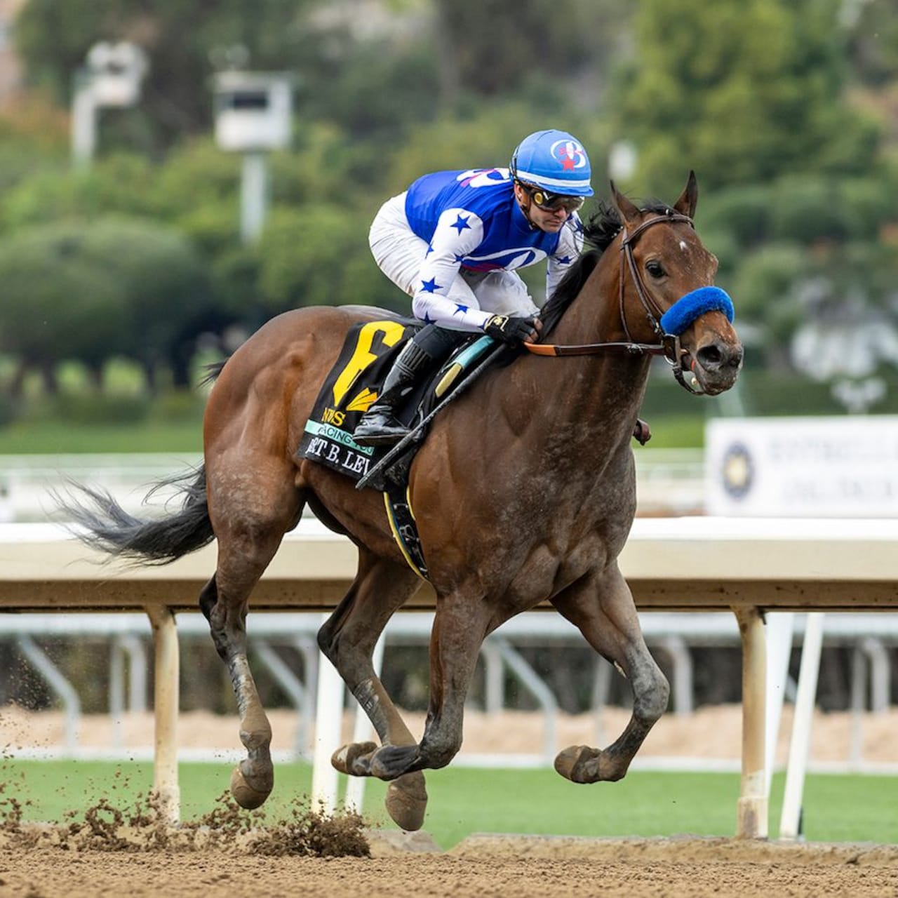 Nysos winning the Robert B. Lewis (G3) at Santa Anita (Photo by Benoit Photo)