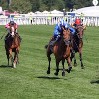 Ombudsman winning the Prince of Wales's (G1) at Royal Ascot