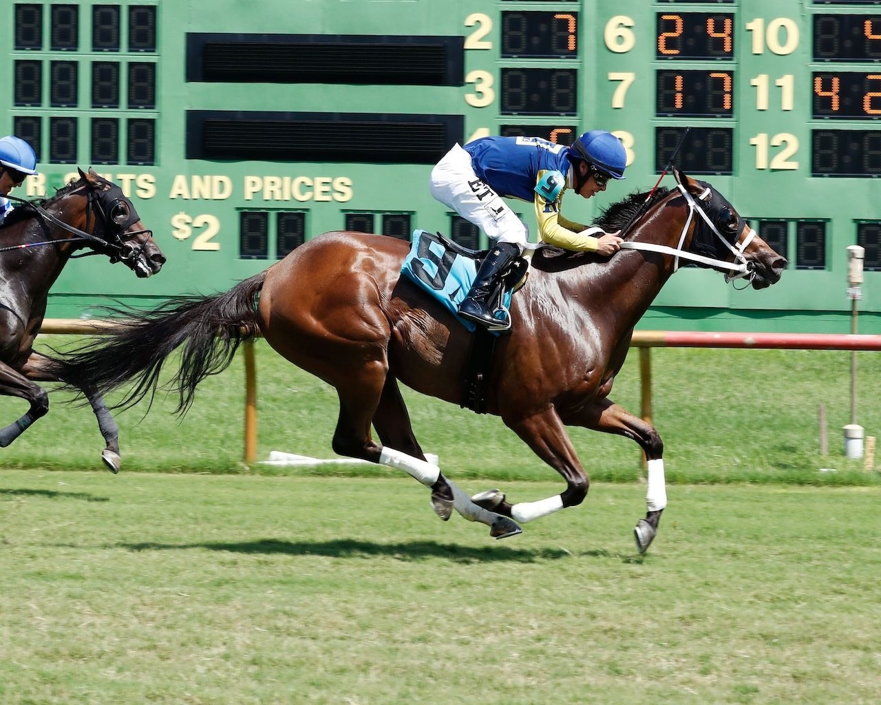 One Timer wins the Kentucky Downs Preview Turf Sprint at Kentucky Downs.