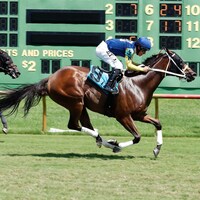 One Timer wins the Kentucky Downs Preview Turf Sprint at Kentucky Downs.