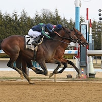 Ottinho breaking his maiden at Aqueduct