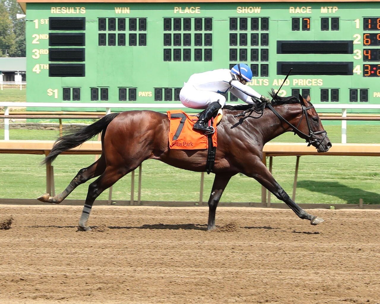 Owen Almighty wins at Ellis Park
