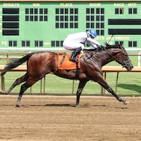 Owen Almighty wins at Ellis Park