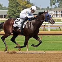 Owen Almighty returned to his sparkling form in the R.A. "Cowboy" Jones S. at Ellis Park
