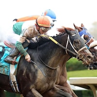 O'Connor (outside) gets up to win the Fayette (G2) at Keeneland (Photo by Coady Photography)