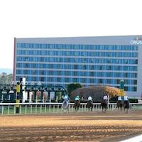 Oaklawn Park scenic