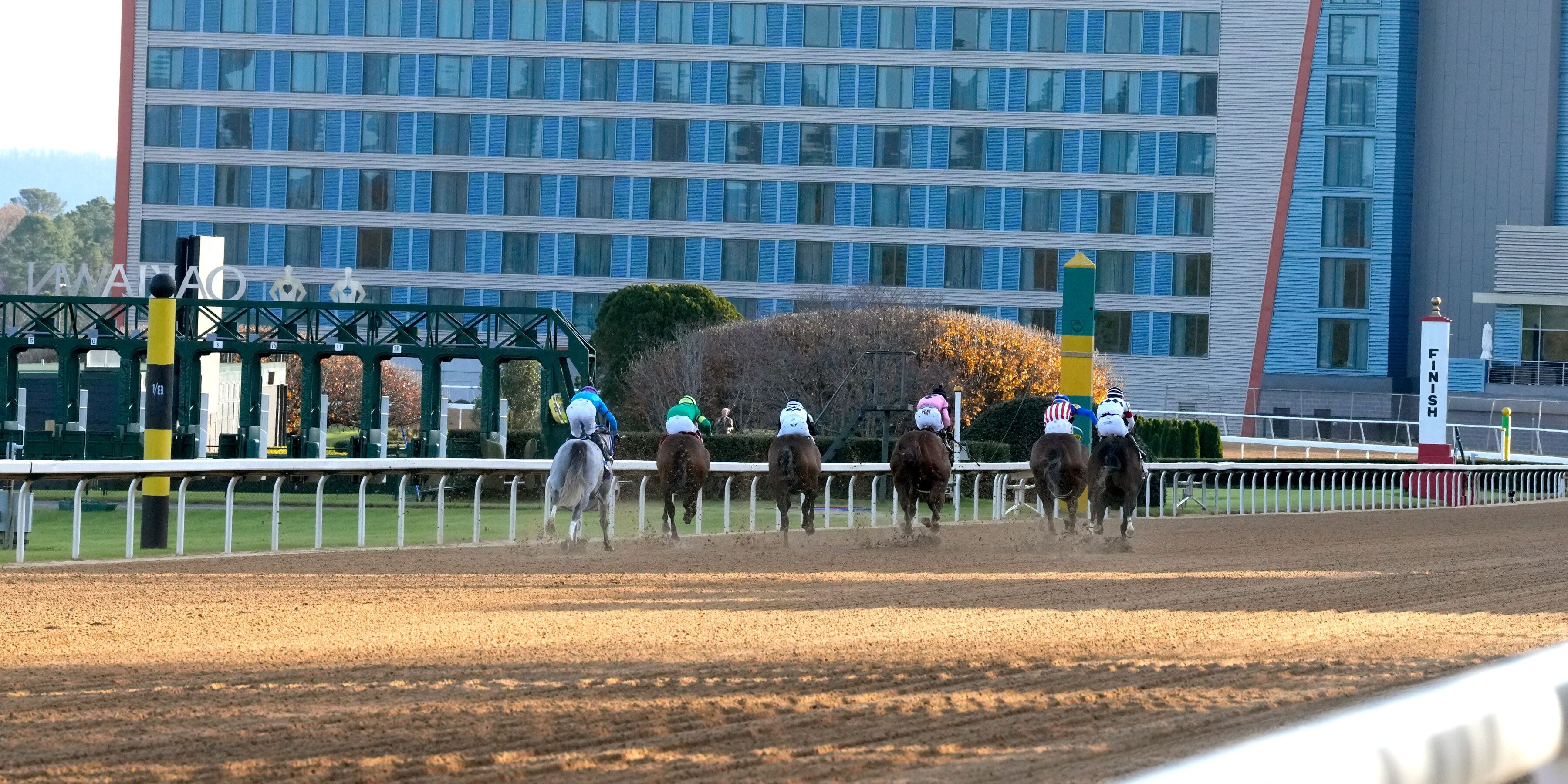 Oaklawn Park scenic