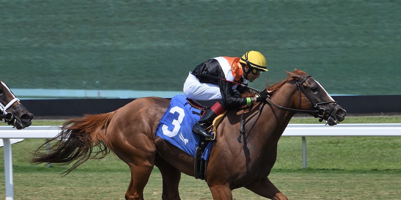 Ocean Club wins the Monroe
