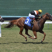 Ocean Club wins the Monroe