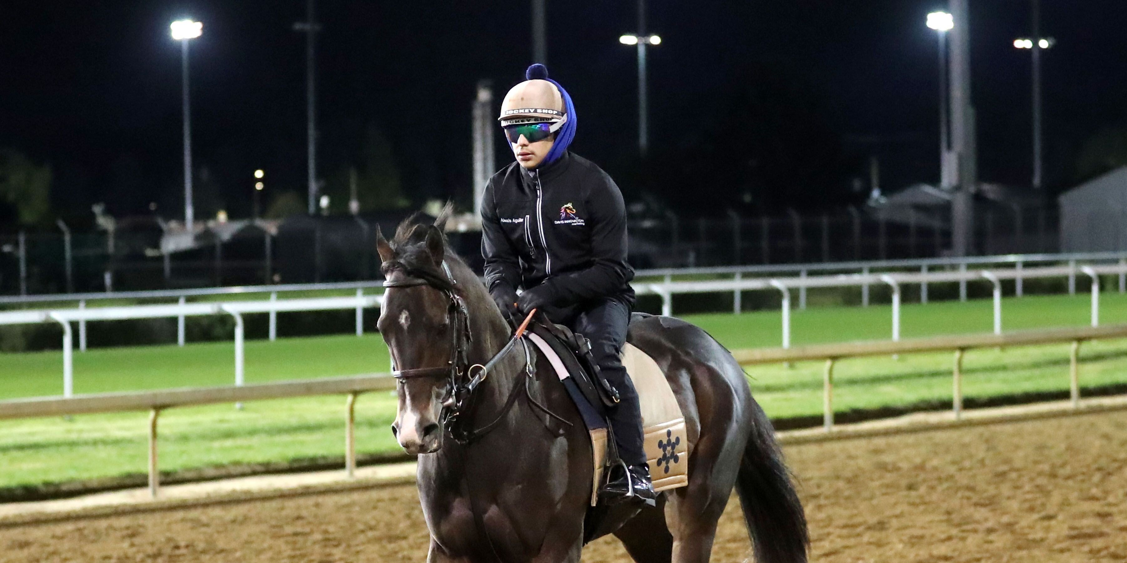 Ocelli training at Churchill Downs