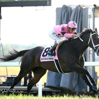 Ole Crazy Bone gave trainer Mike Maker a record sixth win in the Kentucky Turf Cup (G2)