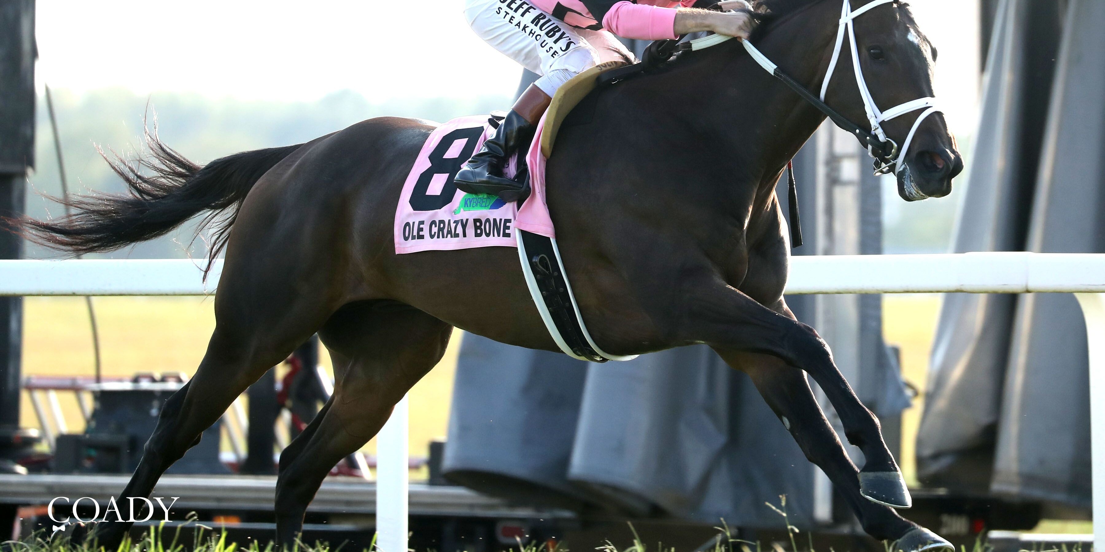 Ole Crazy Bone gave trainer Mike Maker a record sixth win in the Kentucky Turf Cup (G2)