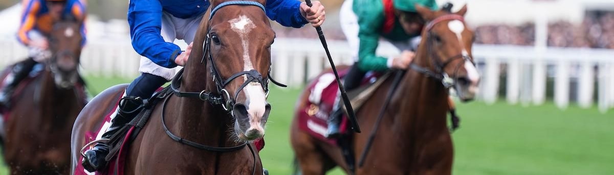 Ombudsman wins the Champion (G1) at Ascot Racecourse.
