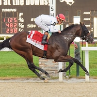 Owen Almighty winning the Tampa Bay Derby (G3) at Tampa Bay Downs (Photo by SV Photography)