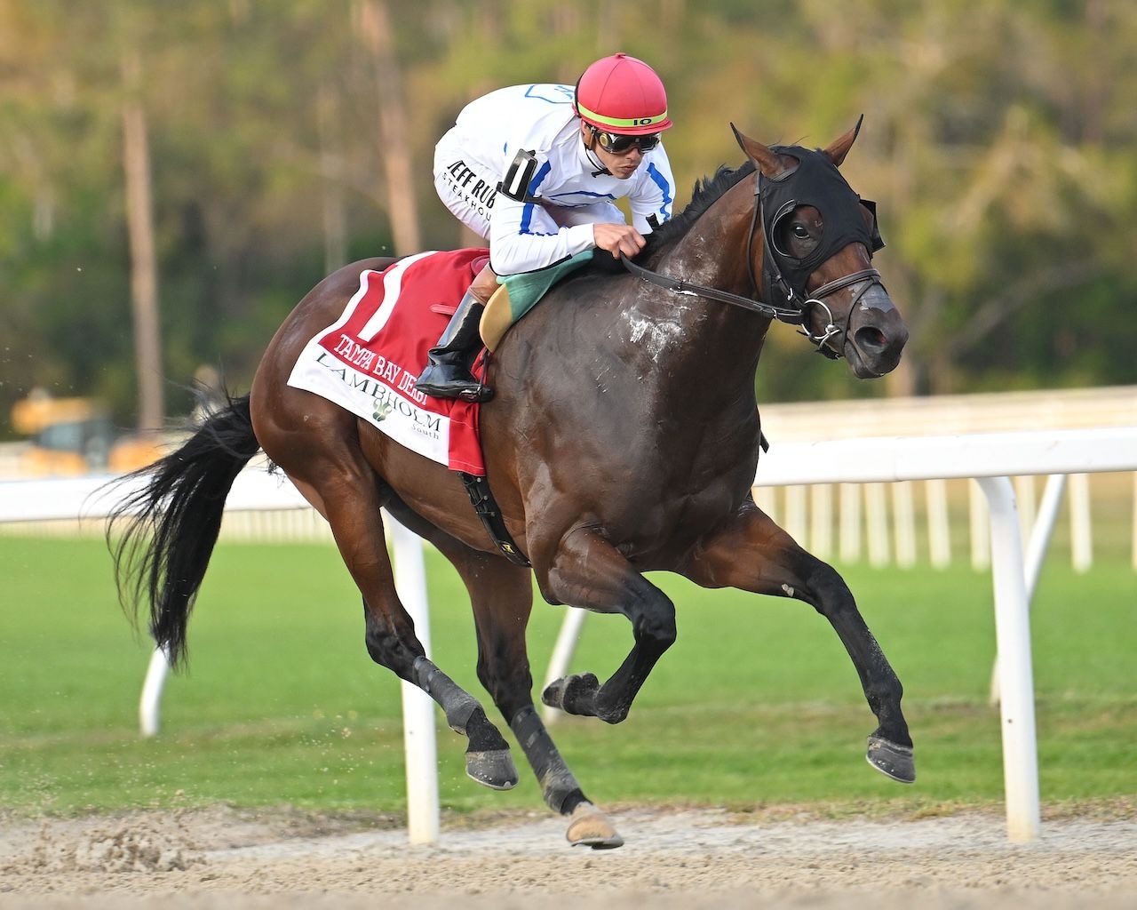 Owen Almighty winning the Tampa Bay Derby at Tampa Bay Downs (Photo by SV Photography)