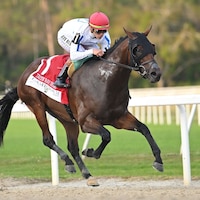 Owen Almighty winning the Tampa Bay Derby at Tampa Bay Downs (Photo by SV Photography)