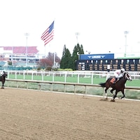 Patch Adams breaking his maiden at Churchill Downs (Photo by Coady Media)
