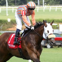 Public Defender wins at Colonial Downs (Photo by Coady Media)
