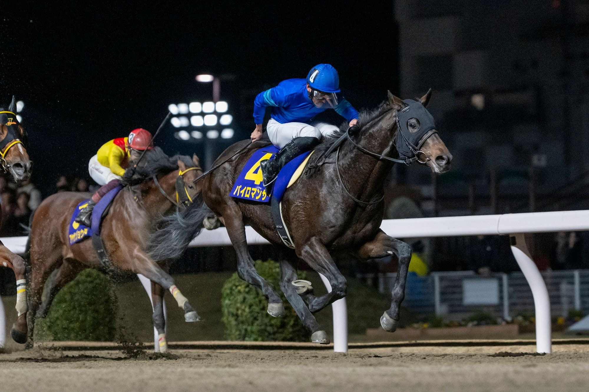 Pyromancer winning the Zen-Nippon Nisai Yushun at Kawasaki Racecourse