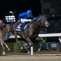 Pyromancer winning the Zen-Nippon Nisai Yushun at Kawasaki Racecourse