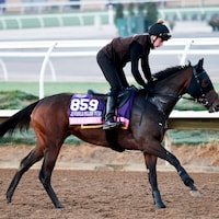 Pacific Mission trains for the 2025 Breeders' Cup at Del Mar (Photo by Horsephotos.com)
