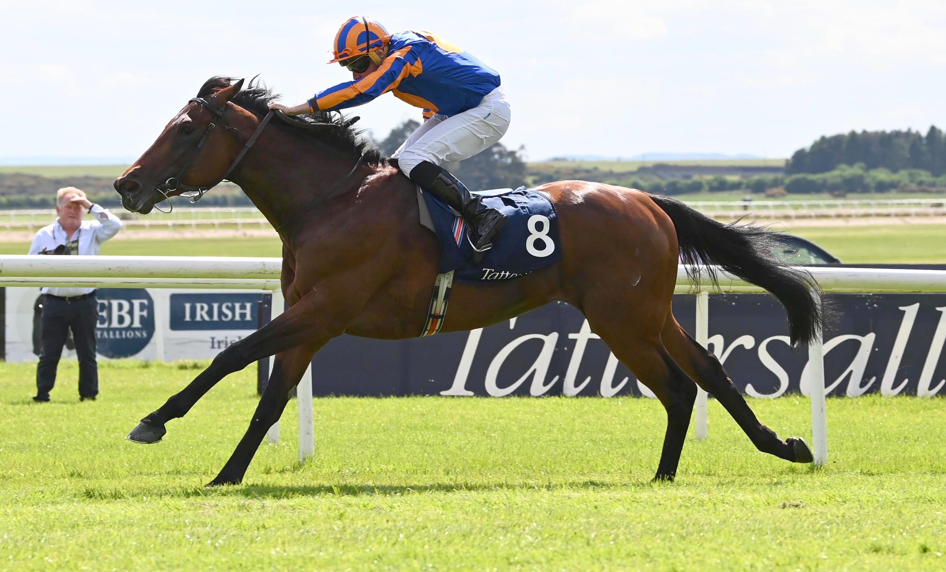 Racing at The Curragh (Photo courtesy of GBI/RMG/Focusonracing.com)