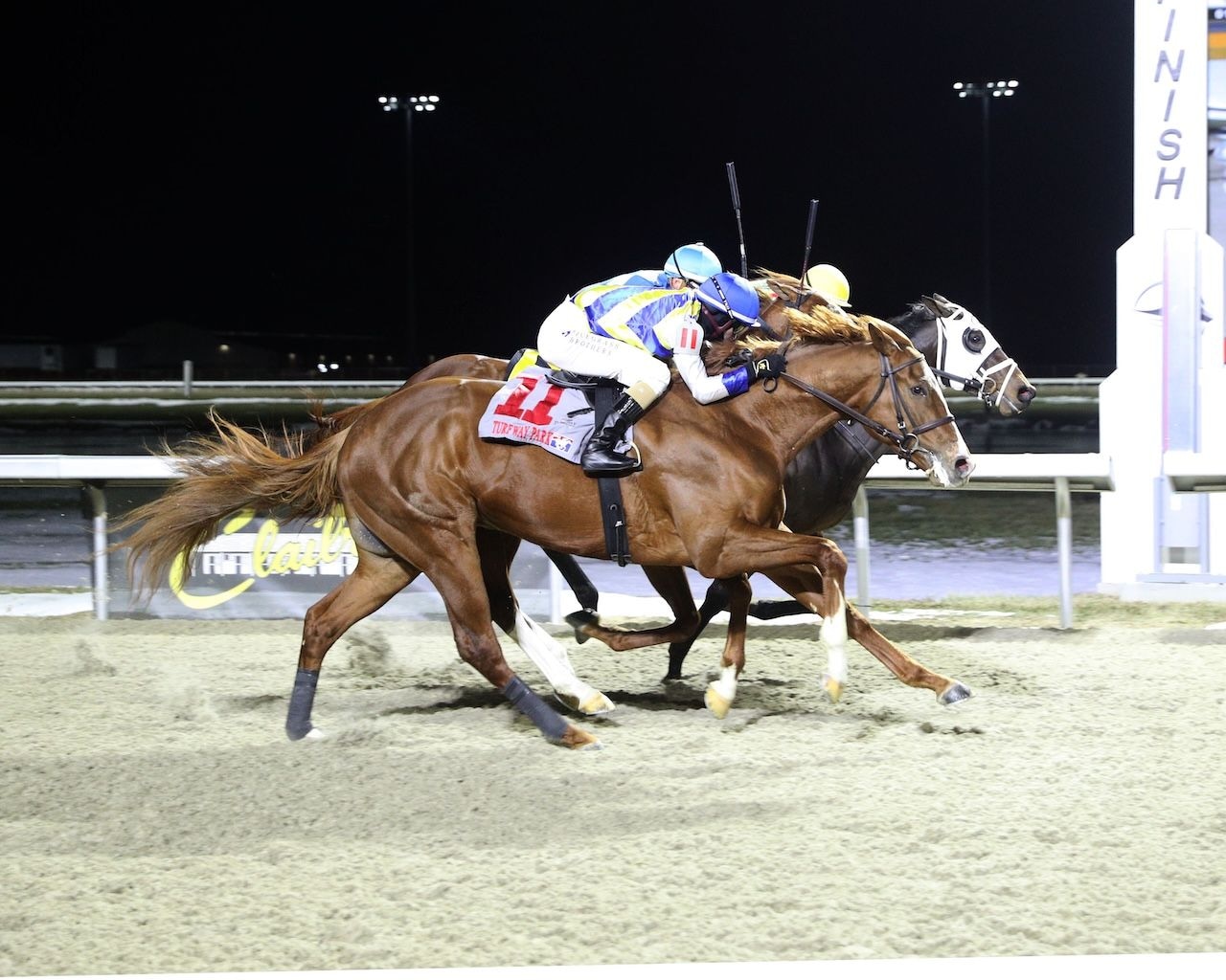 Pagode wins at Turfway Park.