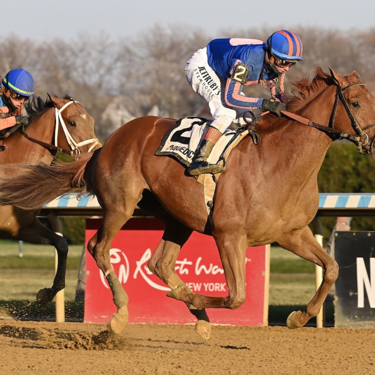 Paladin wins the Remsen Stakes at Aqueduct.