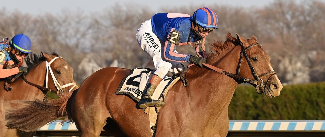 Paladin wins the Remsen Stakes at Aqueduct.