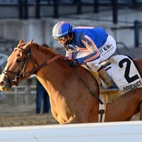 Paladin wins the Remsen Stakes at Aqueduct. 