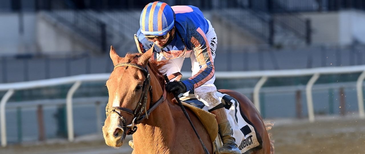Paladin wins the Remsen Stakes at Aqueduct.