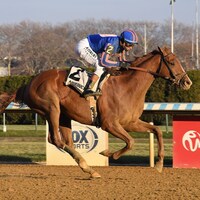 Paladin wins the Remsen Stakes at Aqueduct. 