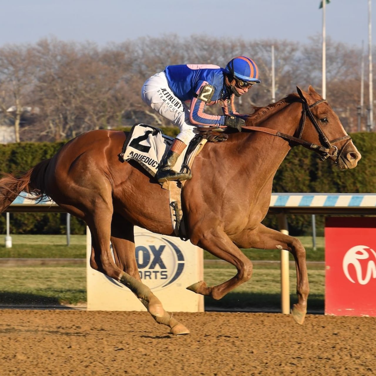 Paladin wins the Remsen Stakes at Aqueduct.